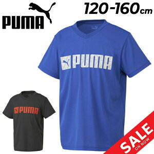 v[} LbY  TVc WjA 120-160cm q PUMA g[jO X|[cEFA S vgT qǂ fC[ JWA ʊw gbvX/676151ypu22pdz