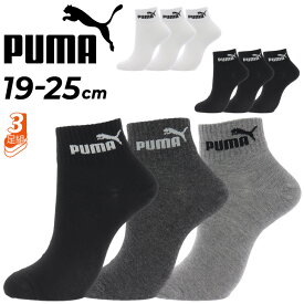 プーマ キッズ 靴下 3足セット 子ども用 PUMA 3Pソックス 3足組 19-25cm 子供 ジュニア スポーツ カジュアル 白 黒 ホワイト ブラック 通学 小学生 くつした ブランド 贈り物 プレゼント/4293150