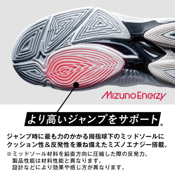 楽天市場】送料無料 ミズノ バレーボールシューズ ローカット 2E相当 