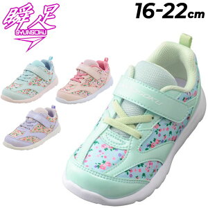  u  LbY ̎q Xj[J[ ^C V[Y V\N 16-22cm qC WjAXj[J[ ^C LbYXj[J[ ^C qǂ ԕ 킢  ʊw wZ XN[