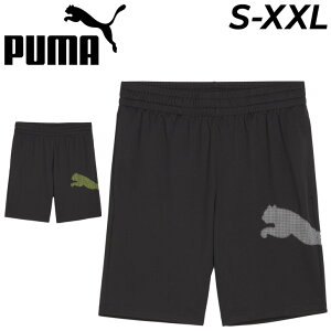 v[} V[gpc Y PUMA TRAIN ALL DAY BIG CAT 7C`V[c z n[tpc g[jO X|[cEFA EGA tBbglX jO ^ W jp  Zp Y