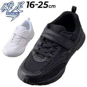  u WjA Xj[J[ LbYV[Y 3EChf SYUNSOKU for SCHOOL XN[V[Y 16-25cm qǂ ZΉJ[ j̎q ̎q LbYV[Y 񂻂 C C u