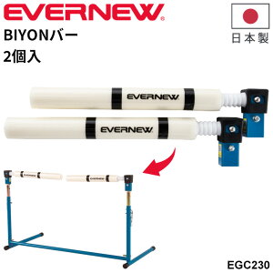  Goj[ n[h BIYONo[(2) ㋣Z 2g wZp g[jO K { uh EVERNEW ̈pi X|[cpi p  wZi wZ̈/EGB134yzyMtg