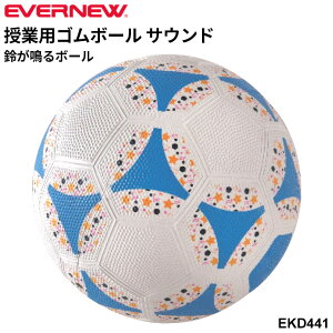 Goj[ ƗpS{[ TEh wN w wZ Ɨp{[ Z {[^ {[Q[ uh EVERNEW X|[c ̈pi p wZi wZ̈/EKD441yzyM