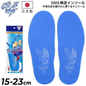 V\N qǂp ~ DSIS uC\[ LbY WjA tbgPA \{ZC Ռz A[`T|[g hEzH qCp 芷p p uh CPApi 1