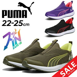  v[} g킸TbƗ WjAV[Y 22-25cm Xj[J[ PUMA N[Y PROFOAM C[YC J qC LbYXj[J[ ǂ Xb| ܂ܗ nht