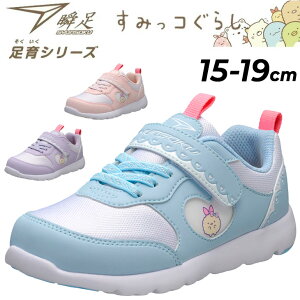  u V[Y LbYV[Y ̎q ݂R炵R{ 15-19.0cm L3E qC V\N  C-259 LbYXj[J[ LN^[  킢 ^C w wZ