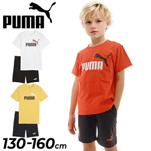v[} LbY j̎q TVc V[gpc ㉺ PUMA ESS 2 COLOR NO. 1 LOGO WjA g[jOEFA 130-160cm q {[CY ZbgAbv X|[cEFA vgTVc n[tp