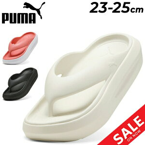 v[} fB[X T_ PUMA tb^[ tbvT_ p X|[cT_ r[`T_ JWA X|[eB C fB[XT_ X|T  t v[}T_ 