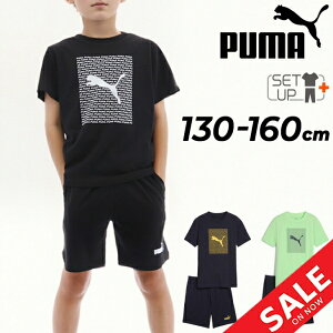  v[} LbY j̎q TVc V[gpc ㉺ PUMA ESS S u HOG WjA g[jOEFA 130-160cm q {[CY ZbgAbv X|[cEFA vgTVc 