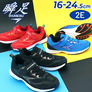  u Xj[J[ LbY WjA V[Y 16-24.5cm 2E qC V\N GXANZ[^b[VOf qǂ j {[CY ^C ^ w wZ ̈ ʊw ʉ