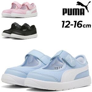 v[} xr[V[Y Xj[J[ PUMA R[gtbNX V3 i V Ct@gb12-16cm qC xr[C LbYV[Y ʃt@Xi[ xg X|[eB JWA qǂ c ^C u