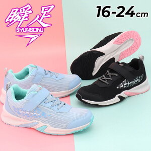  u Xj[J[ LbY WjA ̎q L2.5E 16-24cm qC V\N AeB}`[^[ LbYV[Y ^C SR qǂ  K[Y w ʊw ̈ wZ ^ 