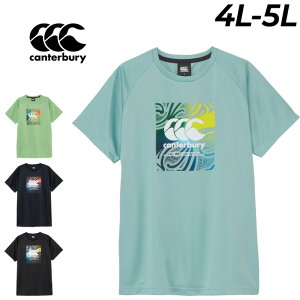  J^x[  TVc 4L 5L Y 傫TCY canterbury XNGAS g[jOeB[ rbOTCY bOr[EFA gbvX z j jq K ^  