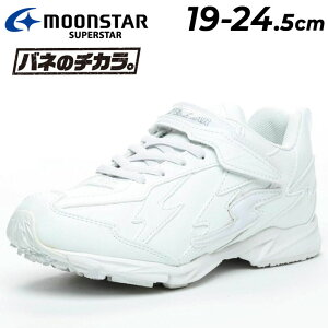  [X^[ X[p[X^[ ol̃`J WjA Xj[J[ 19-24.5cm 2E qC zCg C ₷ qǂ j̎q ̎q XN[V[Y ʊw w wZ s w