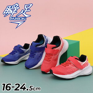  u Xj[J[ LbY WjA j̎q 2.5E 16-24.5cm qC V\N EBOXC_[ LbYV[Y ^C SR qǂ j {[CY w ʊw ̈ wZ ^ 