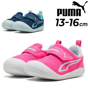 v[} xr[V[Y Xj[J[ PUMA Lbe bV V Ct@g 13cm 14cm 15cm 16cm qC _炩 NbV ʋC xr[C LbYV[Y ʃt@Xi[ X|[eB JWA