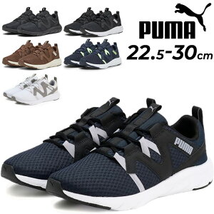  v[} jOV[Y Y fB[X PUMA SOFTRIDE \tgCh tbNX oC^ Ch WMOV[Y V[ EH[LO ^C i jZbNX 