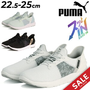  v[} g킸TbƗ fB[X jOV[Y PUMA \tgCh ~ C[YC I ܂ܗ nht[ p WMO V[ ^CX|