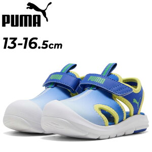 �v�[�} �L�b�Y �x�r�[ �X�|�[�c�T���_�� �j�̎q 13-16.5cm �q���C PUMA �t�@�����[�T�[ �T���_�� COME ON V �C���t�@���g �������p �q�ǂ��p �E�H�[�^�[�V���[�Y �ʃt�@�X�i�[ �T�}�[ �L�b�Y�T���_