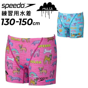�������� �X�s�[�h �W���j�A ���j �j�̎q ���K�p���� 130-150cm Speedo �����K�R���{ �o���[���h�b�O�^�[���Y�n�[�t�{�b�N�X �q�ǂ� �j���X�p�b�c���� �g���[�j���O���� �X�C���E�F�A ���� �{�[