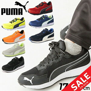 v[} WjA Xj[J[ q qǂ ǂC PUMA Xs[hX^[ PL jOV[Y 17-24cm ЂC LbYV[Y WjAV[Y LbYXj[J[ X|[eB JWA 