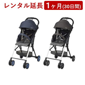 Combi(コンビ) | F2 Limited AF＜1ヶ月(30日間)レンタル延長＞※現在、レンタル商品をご利用中のお客様が対象です