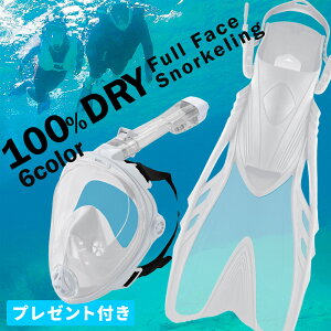 シュノーケル セット 2点セット フルフェイスマスク フィン 【FFM-loa+】 HeleiWaho ヘレイワホ シュノーケリングセット スノーケリング 海水浴 ビーチアイテム 海遊び