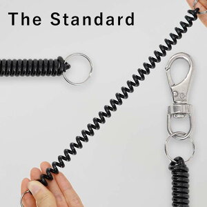 RC [h The Standard UEX^_[h XeX XCx _CrO ANZT[ p[c