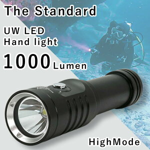 _CrOCg 1000[ Cg LED nhCg 3[h X|bg^Cv ψ80m 18650Ή The Standard