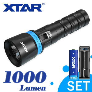 _CrOCg Zbg  1000 [ iK XTAR GNX^[ DS1 Cg h LEDCg tbVCg ψ ϋv S݌v nfBCg nh Cg _CrO 217000