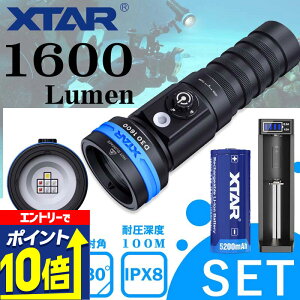 yGg[10{Iz Cg _CrO LED _CrOCg J Be rfICg h RpNg nfBCg [d D30 1600 (Full set) XTAR GNX^[