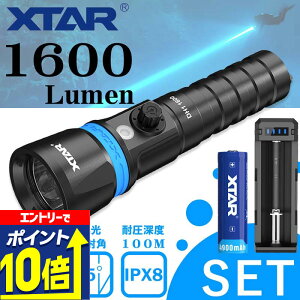 yGg[10{Iz Cg _CrO LED _CrOCg h RpNg nfBCg [d DH1 1600 (dr [d t ) XTAR GNX^[