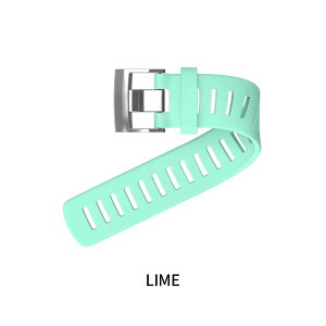 SUUNTO / �X���g D4i NOVO �����X�g���b�v �_�C�r���O��� �_�C�u�R���s���[�^ �����X�g���b�v SS020448000 �X�L���[�o�_�C�r���O �����e�i���X