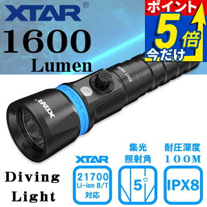 �������C�g �_�C�r���O LED �_�C�r���O���C�g �h�� �R���p�N�g �n���f�B���C�g �[�d�� DH1 1600 (�d�r �[�d��Ȃ� ) XTAR �G�N�X�^�[