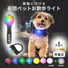 ＼1位獲得 1980円→1890円／ 首輪 ハーネス かんたん着脱 犬 ペット 夜 散歩 ライト LED 充電式 USB typ-C 夜 明るい 点灯 安全対策 リード 光る 高輝度 充電 夜間 夜道 ペットグッズ いぬ 犬用品 首輪ライト 光る首輪