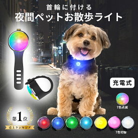 ＼楽天1位！ぴったり装着！しっかり固定！高輝度！／ 首輪 ハーネス かんたん着脱 ペット 犬 散歩 ライト 夜 LED 充電式 USB typ-C 充電 夜 安全対策 レインボー 点灯 高輝度 夜間 夜道 いぬ 犬用品 首輪ライト 光る首輪 犬ライト リード お散歩ライト 小型犬 中型犬 犬散歩