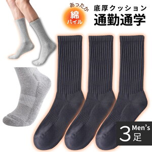 N[|300~OFFyꂾz3 Zbg Y C   pC C rWlX d ʋ ʊw rWlX\bNX rWlXC ₦΍ ۉ  g  