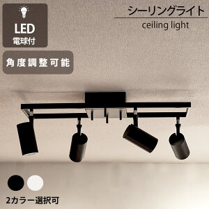 yԌ5000~OFFIzV[OCg _Ng[p LEDdt y_gCg X|bgCg 4 LED dF F Ɩ VƖ [vO V[OvO   V