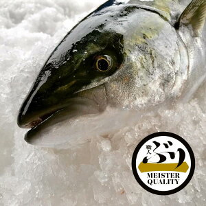ぶり 5kg 魚の人気商品 通販 価格比較 価格 Com