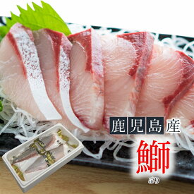 楽天市場 寒ブリ 刺身の通販