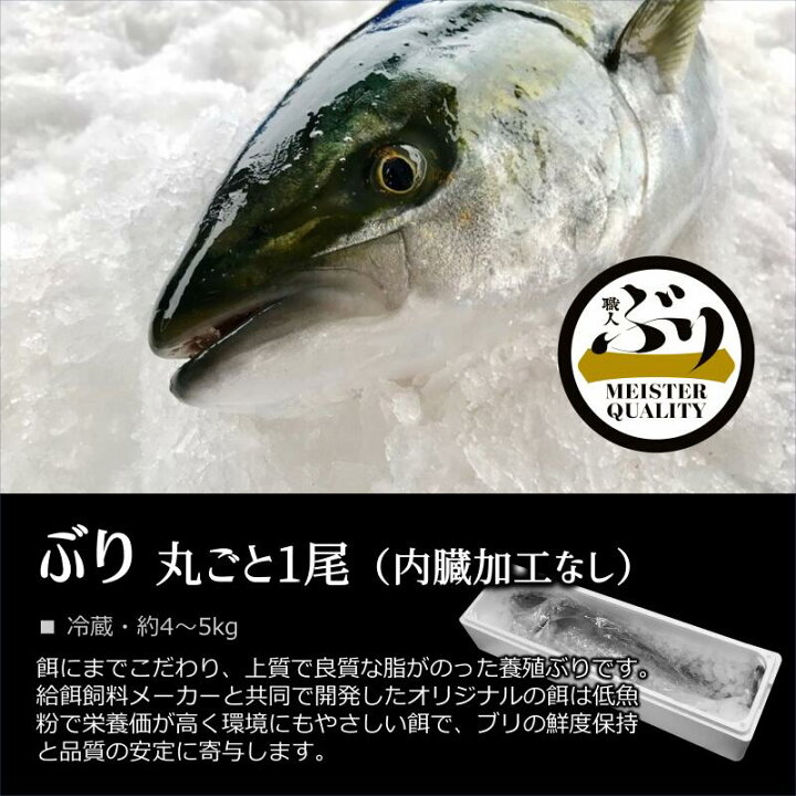 楽天市場 鹿児島産ぶり 冷蔵 ぶり1尾ー 鰤 ブリ ー ぶり職人