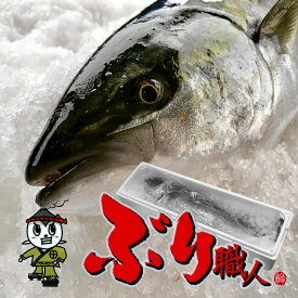楽天市場 鹿児島 ぶりの通販