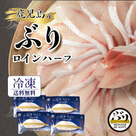 【冷凍 ぶり ポーション 約0.7kg】うま味凝縮＼手切りで捌いた極上の逸品／鹿児島産 冷凍 柵 ロイン ハーフ (皮無し/背腹計4パック) プレゼント ギフト 贈答用にも 寒ブリ ブリ