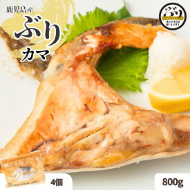 【冷凍 ぶりカマ 4p】＼濃厚な脂のうま味／鹿児島産 冷凍 鰤 カマ 4パック (約200g/パック) 焼き魚 煮つけ ジューシー 簡単 ぶり料理に プレゼント ギフト 贈答用にも 寒ブリ buri