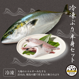 【冷凍 ぶり 半身セット 約0.9kg】うま味凝縮＼手切りで捌いた極上の逸品／鹿児島産 冷凍 鰤 半身 セット (皮無ロイン 半身分、カマ1p) 刺身 さしみ ぶりしゃぶ カマ焼き プレゼント ギフト 贈答用にも 寒ブリ ブリ