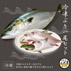 魚 ぶり カマの人気商品・通販・価格比較 - 価格.com