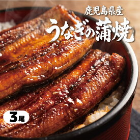 国産 うなぎ 蒲焼 鹿児島県産 約166g/尾 3尾 蒸し仕上げ 鰻 ウナギ unagi 土用の丑の日 丑の日 お中元 御中元 ギフト プレゼント 贈答 お祝い 内祝い お取り寄せ グルメ 冷凍 送料無料