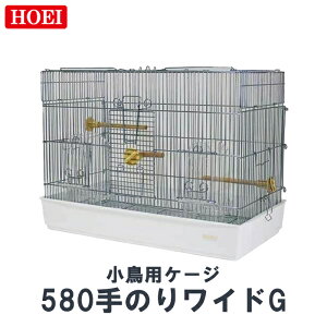 z[GC  580̂胏ChG zCg