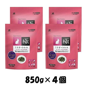 y4Zbgẑ vZNg 850gnCybg ̃GT